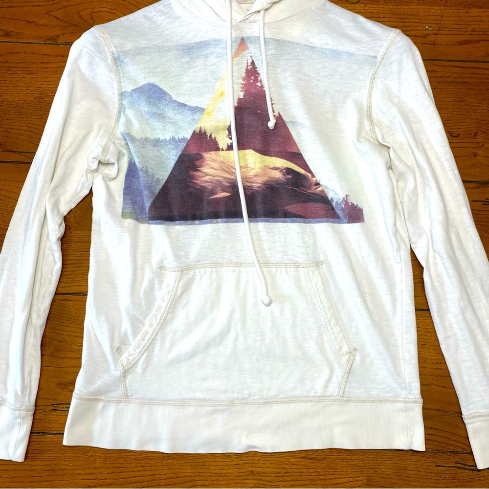 American Eagle thin hoodie size small great shape other than small hole see pict